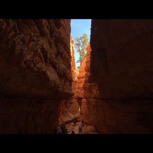 Meet your Posher, Carrie